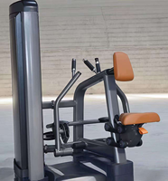 Appareil de musculation fonctionnel à sélection de charge par pignon pour extensions dorsales, en acier, usage commercial