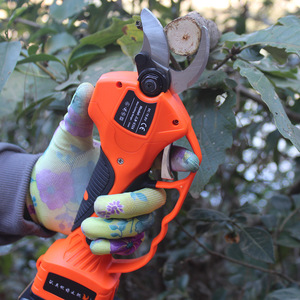 Sécateur de jardin télescopique portable sans fil de qualité professionnelle avec lames en acier inoxydable pour batterie Li-ion - Product Image 2