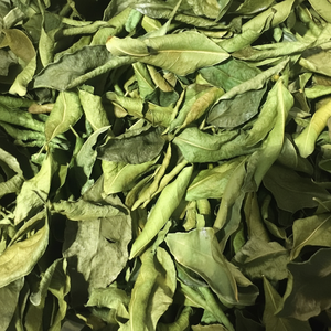 Hojas de lima secas 100% naturales auténticas a granel en bolsa de PE de Vietnam MINA +84325608680 - Product Image 1