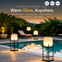 Lampe solaire de sol, cadre en métal noir, LED blanc givré, décoration de jardin, patio, bord de piscine, éclairage extérieur