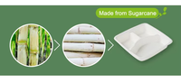 100% assiettes rondes robustes compostables de 9 10 pouces assiettes en papier de canne à sucre jetables écologiques à 3 compartiments