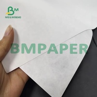 Papier Tyvek blanc enduit de 787mm de largeur 1025D pour imprimante à jet d'encre HP Cannon
