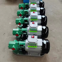 Pompe à engrenages portable à courant continu haute pression WCB pour l'industrie des biocarburants, pompes chimiques 0,6 Mpa