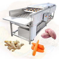 ORME Gingembre Ail Brosse à légumes Rouleau Pommes de terre Laveuse à sec et éplucheuse pour le nettoyage des dattes