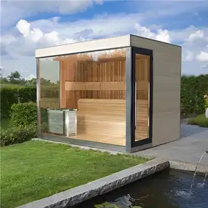 Diseño de moda Hogar Calentador de sauna eléctrico Habitación y puerta de sauna de vidrio Sala combinada de vapor