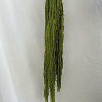 Fleur d'amarante séchée et préservée, toucher réel, orange brûlé et vert clair, pour décoration florale suspendue de mariage, Fête des Mères, Pâques