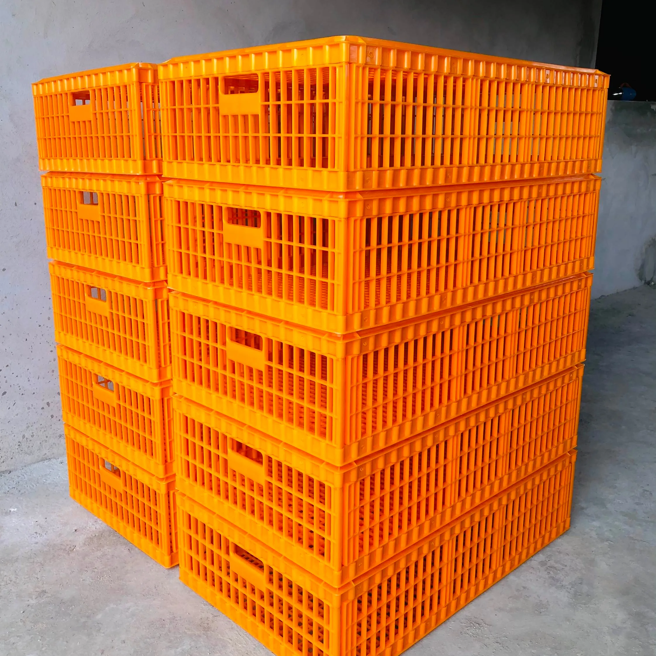 Galinhas plásticas longas 96x55x27cm, galinhas artesanais, transporte de aves, crate com tampa