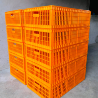 Nouvelles caisses à poulets de type H en PP orange de grande taille 96x56x27cm, cage de transport pour volailles vivantes avec couvercle, longue durée de vie