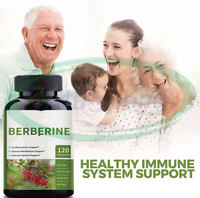 Comprimés de berbérine HCl VitaSpring – Soutien digestif – Compléments alimentaires – Marque privée – Complexe de berbérine liposomale 500 mg
