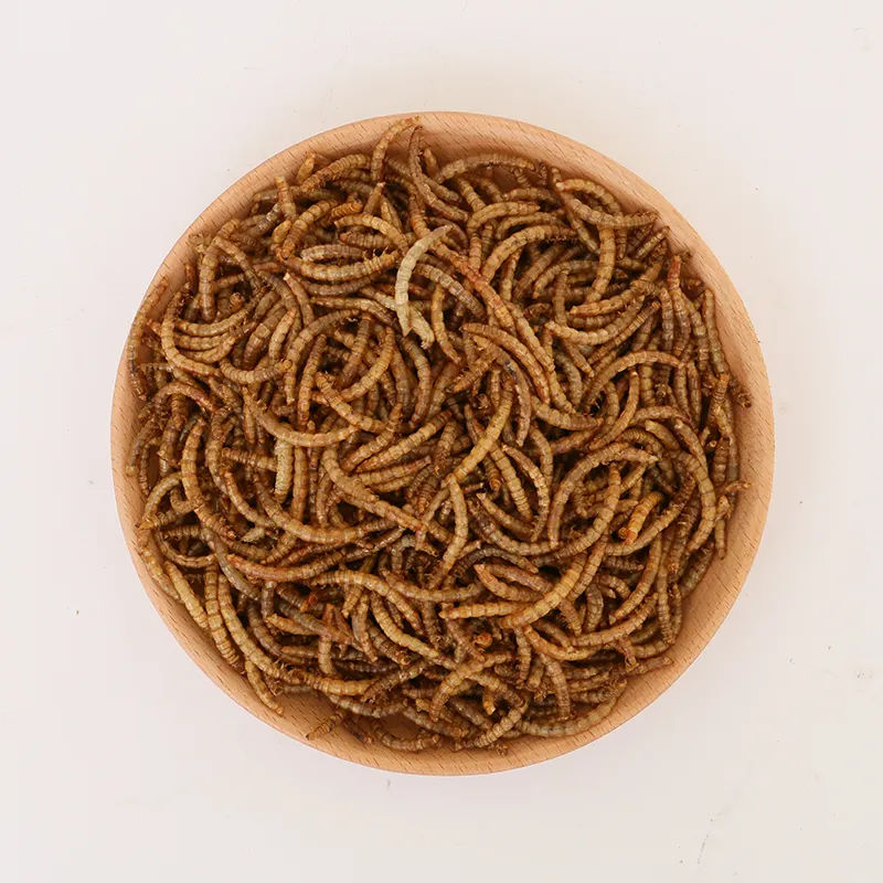 Ricca nutrizione microonde essiccato verme della farina rettile fornisce giallo vermi della farina alimenti per animali domestici alimenti per animali