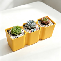Pots à plantes succulentes, pots de pépinière en plastique pour cactus, petites plantes, décoration de bureau à domicile