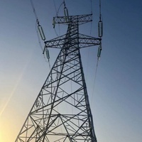 Tour de distribution électrique économique en acier galvanisé à circuit unique, tension 10-500 kV, courant 300 A, résistance aux typhons de catégorie 12, 30 ans
