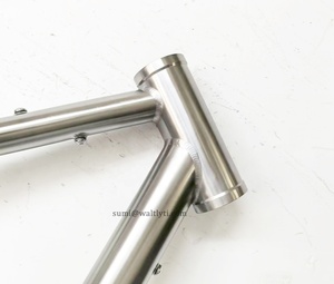 Cadre de vélo en titane 700C avec transmission par courroie, séparateur Rohloff, patins coulissants pour la conduite sur gravier - Product Image 5