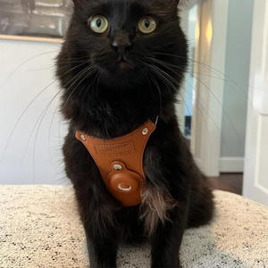 ポジショナーエアタグケースに適したカスタムブラウンレザー調節可能なメタルバックルスモールペットキャットドッグチェストストラップハーネス - Product Image 4