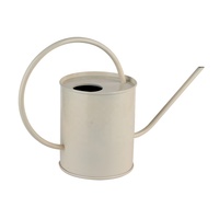 Arrosoir vintage en acier inoxydable 1,5 L écologique à long bec pour jardin et usage intérieur