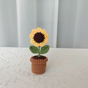 Vaso per Piante Mini in Crochet 2026, Decorazione Floreale, Regalo Creativo, Ornamento Compatto Adorabile - Product Image 4