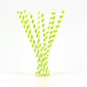 หลอดดูดน้ำกระดาษลายทางหลากสีแบบใช้แล้วทิ้ง เป็นมิตรกับสิ่งแวดล้อม - Product Image 2
