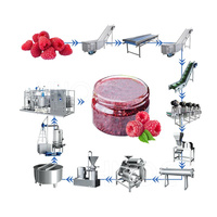Ligne de production automatique de petite pâte de dattes HNOC Ligne de production de confiture de fraises