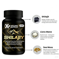 Kapsul Asam Fulvat Shilajit Suplemen Makanan 60 Kapsul Pendukung Energi