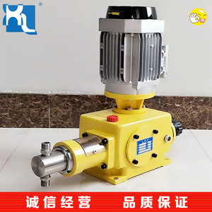 ปั๊มจ่ายสารเคมีแบบลูกสูบ Qingdao Giant Pump รุ่น Dz-X1.250 แรงดัน 50 บาร์ แบบดูดเดี่ยวแนวนอน อัตราการจ่าย 0.012 ลิตรต่อนาที - Product Image 5