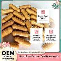 OEM ODM Capsules de Soin Intime Féminin Naturel à Base de Plantes, Capsules de Soutien pour l'Érosion Cervicale, 100% Naturel