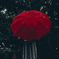 Parapluie pliant entièrement automatique de 23 pouces, promotionnel, directement de l'usine LOTUS, avec logo personnalisé et poignée en plastique pour adultes