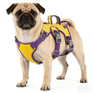 Rompi <span class=keywords><strong>Harness</strong></span> Hewan Peliharaan Gaya Kartun YG-888 dengan Dekorasi Rivet dan Renda - Product Image 4