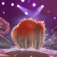 Plumes de poulet rouges naturelles pour la création de boucles d'oreilles, d'ailes, de attrape-rêves, d'activités créatives, de projets, de décorations de mariage, de fêtes et de maison