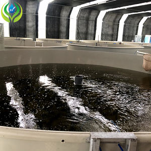 MYXL aquaponique piscicole réservoirs serre agricole pisciculture équipement d'aquaculture - Product Image 3