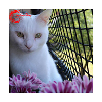 Filet de sécurité anti-chute en HDPE pour balcon, fenêtre, clôture de sécurité pour animaux domestiques