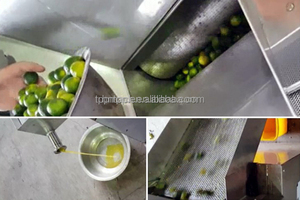 Extractor de Jugo Industrial, Exprimidor de Calamondín, Exprimidor de Kumquat, Máquina para Hacer Jugo de Limón, Exprimidor de Cítricos - Product Image 6