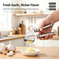 Ensemble de presse-ail en acier inoxydable avec éplucheur d'ail en silicone et brosse de nettoyage, kit d'outils de cuisine pour hacher et presser l'ail