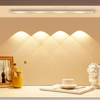 Lampe LED pour armoire Lampe à LED rechargeable par USB avec détecteur de mouvement pour la cuisine Armoire Éclairage d'armoire Taircase Backlight Night Light