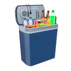 Electric Cooler & Warmer with Handle 24 L Portable Thermoelectric Fridge for Vehicles & Trucks 12V Car Adapter for Camping