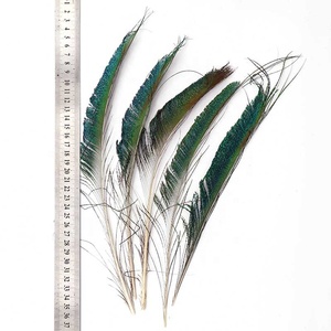 Spada Artigianale Xinyuling con <span class=keywords><strong>Piume</strong></span> di <span class=keywords><strong>Pavone</strong></span> 30-40cm |   <span class=keywords><strong>Piume</strong></span> di Fagiano Naturali Tinte di Qualità Superiore Selezionate per Decorazioni Matrimoniali e Feste - Product Image 2