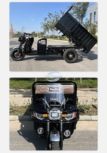 Bicicleta Eléctrica de Carga Robusta de Tres Ruedas - Product Image 3