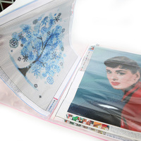 Carnet de rangement pour peinture diamant A4, 30 pages, grand format, transparent, pour présentation et rangement