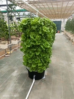 Serre hydroponique agricole Tours verticales aéroponiques Systèmes de culture pour jardin Tour verticale multicouche aéroponique
