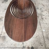 Table basse moderne pour petit appartement, en bois massif original, luxe léger, haut de gamme, forme ovale créative, pour salon et salle à manger