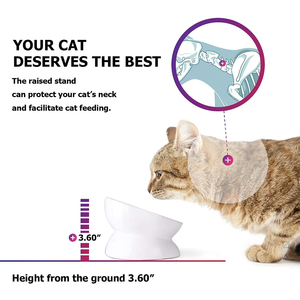 IKITCHEN 2023 - Comedero Elevado para Gatos, Protege la Columna Vertebral, Tazones <span class=keywords><strong>de</strong></span> Cerámica para <span class=keywords><strong>Perros</strong></span> y Gatos, Personalizables - Product Image 3