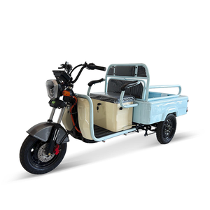 Triciclo Eléctrico EEC COC al por Mayor, Bicicleta Eléctrica de 2200W para Uso Familiar, Scooter de 3 Ruedas - Product Image 6