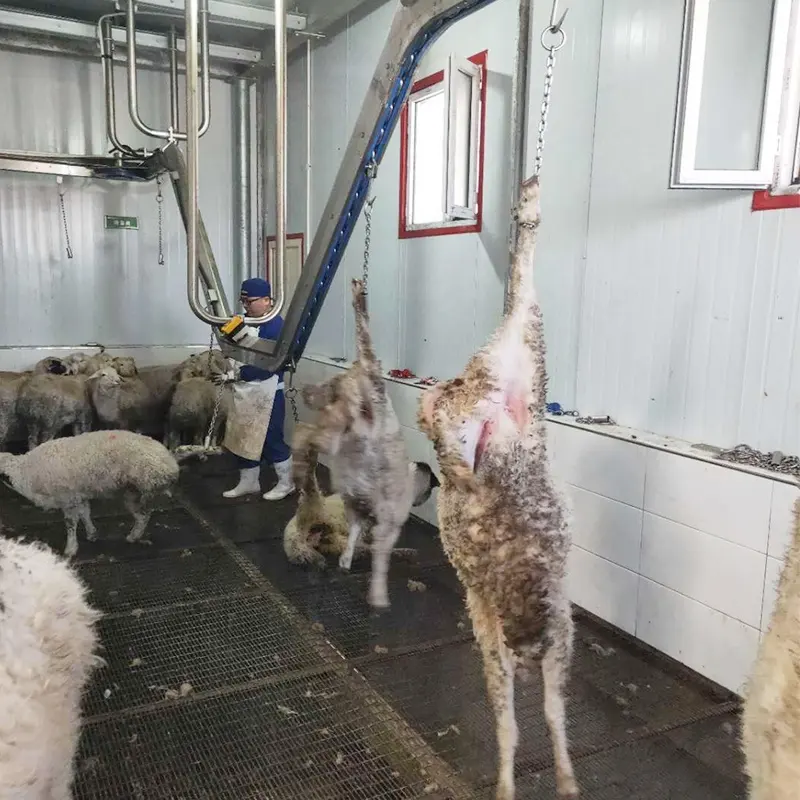 Live Sheep อุปกรณ์โรงฆ่าสัตว์ฮาลาล,สำหรับฆ่าแพะและมีเลือดออกถ่ายทอดทางรถไฟสำหรับเครื่องอบขนแกะ