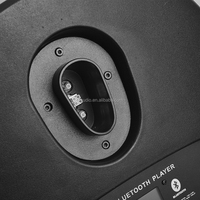 Túnel de audio de alta calidad Subwoofer Delgado Plástico 8 pulgadas Sistema de columna activa Dj Club Altavoces