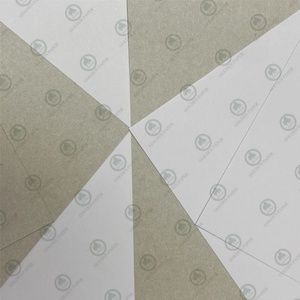 Carton duplex enduit avec dos blanc, qualité constante pour les boîtes d'appareils électriques - Product Image 3