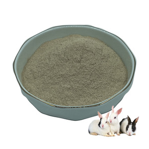 Tôm Probiotic tinh khiết bacillus subtilis Probiotic bacillus subtilis - Product Image 4