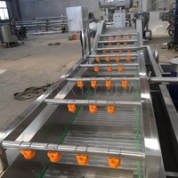 Blaasreinigingsmachine voor blauwe bessen en aardbeien, groente- en fruitdroog- en reinigingsmachine