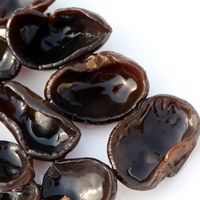 Hongo Negro Deshidratado AD de China al por Mayor, Grado Alimenticio Natural, en Rodajas, Certificado ISO9001/HACCP, 2 Años de Vida Útil
