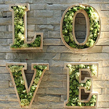 Musgo Seco Real de China para Decoración de Interiores, Jardín Bonsái, Paisajismo, Musgo Seco Artificial para Superficies, Venta al por Mayor - Product Image 4