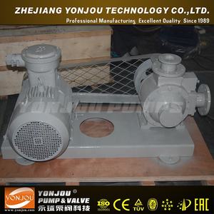 Draagbare Lpg Overdracht Pomp Elektrische Gear Pomp Luchtpomp Ce Roterende Pomp Standaard 1 Jaar Hoge Druk, lage Druk 380V Oem, Odm - Product Image 3