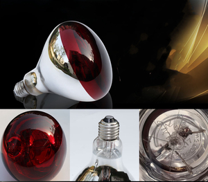 China Factory R125 E27 110V 220V 100W 150W 200W 250W 275W Infrared <strong>Heating</strong> <strong>Bulb</strong> - Product Image 5